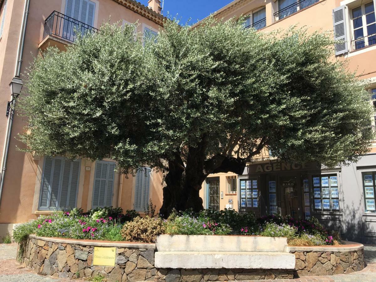 Bastide Du Levant 圣马克西姆 外观 照片